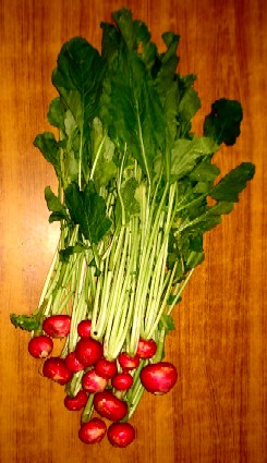 Red Turnips